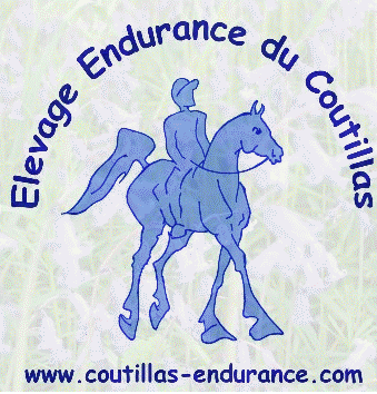 Elevage Endurance du Coutillas, Elevage et Comp&eacute;tition. Kanda'haar*** de 120 &agrave; 160km toujours class&eacute; top ten !