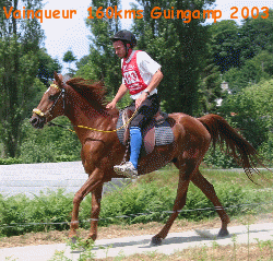 Le podium des 160kms de Guingamp 2003 : Douar et Simon Bellot , Falco II et Jack B&eacute;gaud , Gamine du Fressy et Samuel Bettenfeld ; Animation Gif