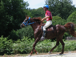 Animation Gif Kanda haar repart du vet gate