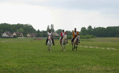 Animation de l'arriv&eacute;e de "l'&eacute;quipe" de Malaisie
