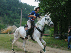Geruan de lux repart en 2&egrave;me position. (animation Gif chargement en cours)