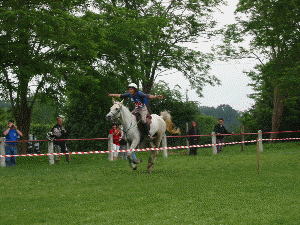 Geruan de lux et Anita David Becker, Champions de France ! (animation Gif, chargement en cours)