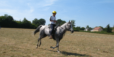 Animation Gif, l'arriv&eacute;e de Galla de  bassignac