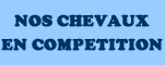 Nos chevaux en comptition Competition horses