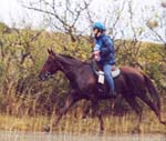 Brise d'Avril II ( Kesberoy** et Olympia***) 160kms Florac 2001 - Cliquez !