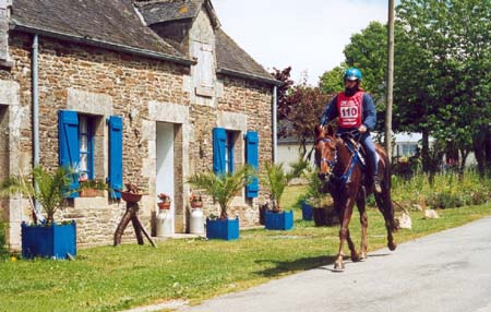 Brise d'Avril II ** (Kesberoy* et Olympia**) CEI*** 140kms Guerl&eacute;dan 2002 .