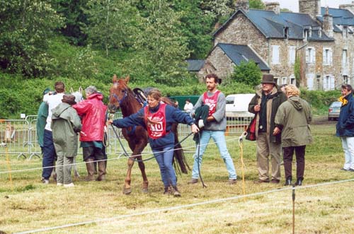 Brise d'Avril II (Kesberoy* et Olympia**) Ridgway CEI*** Guerl&eacute;dan 2002