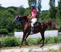 Kanda'haar*** IRE 143  (Fawzan**** et Ragda** par Djobar*) Cliquez ici !