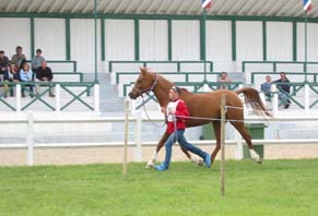Controle initial Dakota et Jullien Collange