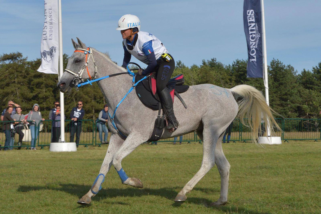 Sacha el Kandahaar champion d'Europe